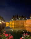 a.shaked_ Altpins Profile Picture