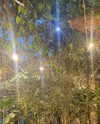 a.shaked_ Altpins Profile Picture