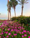 a.shaked_ Altpins Profile Picture