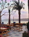 a.shaked_ Altpins Profile Picture