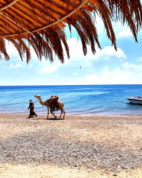 a.shaked_ instagram image archive image