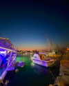 a.shaked_ Altpins Profile Picture