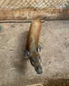 a.shaked_ Altpins Profile Picture