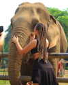 a.shaked_ Altpins Profile Picture