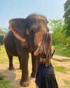 a.shaked_ Altpins Profile Picture