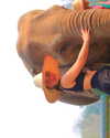 a.shaked_ Altpins Profile Picture