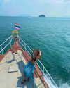 a.shaked_ Altpins Profile Picture