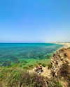 a.shaked_ Altpins Profile Picture