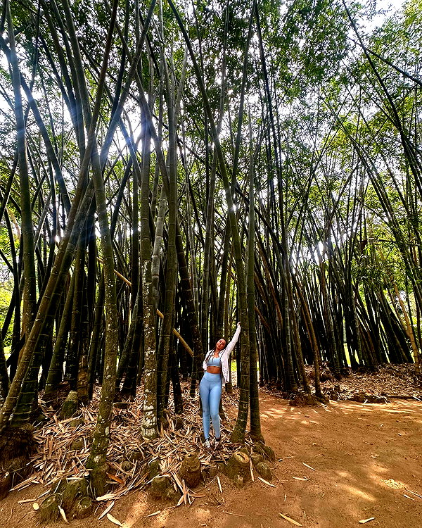 a.shaked_ instagram image archive image