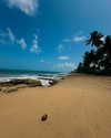 a.shaked_ Altpins Profile Picture