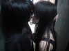 abi_ki33urface Altpins Profile Picture