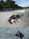 abi_ki33urface Altpins Profile Picture
