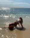 addisonraee Altpins Profile Picture