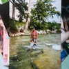 addisonraee Altpins Profile Picture