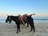 addisonraee Altpins Profile Picture