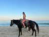 addisonraee Altpins Profile Picture