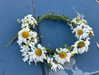 addisonraee Altpins Profile Picture