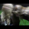 addisonraee Altpins Profile Picture