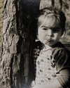 addisonraee Altpins Profile Picture