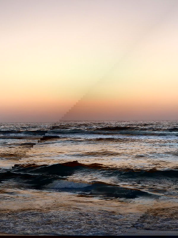 adellepisar adellepisar archive image