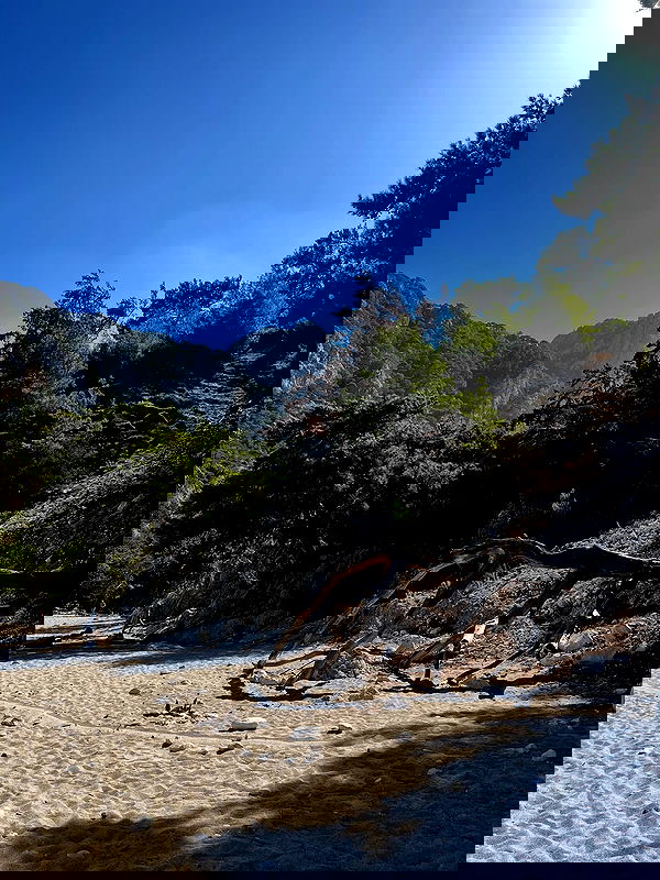 adellepisar adellepisar archive image