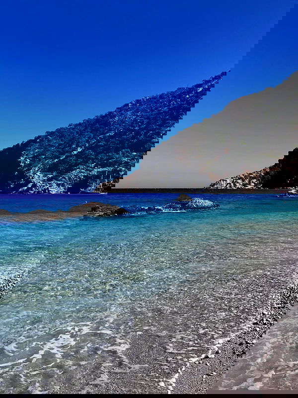 adellepisar adellepisar archive image