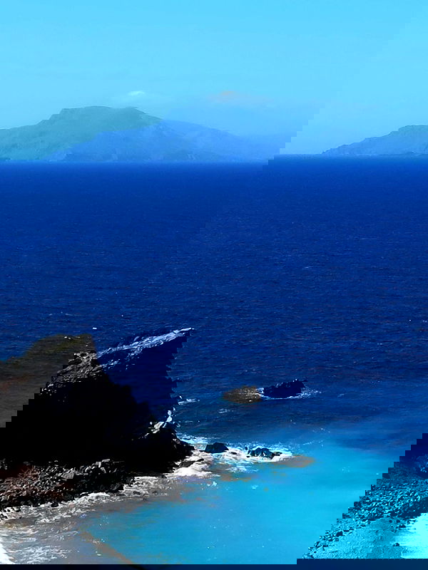 adellepisar adellepisar archive image