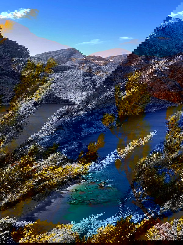 adellepisar adellepisar archive image