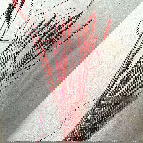 aekamee aekamee archive image