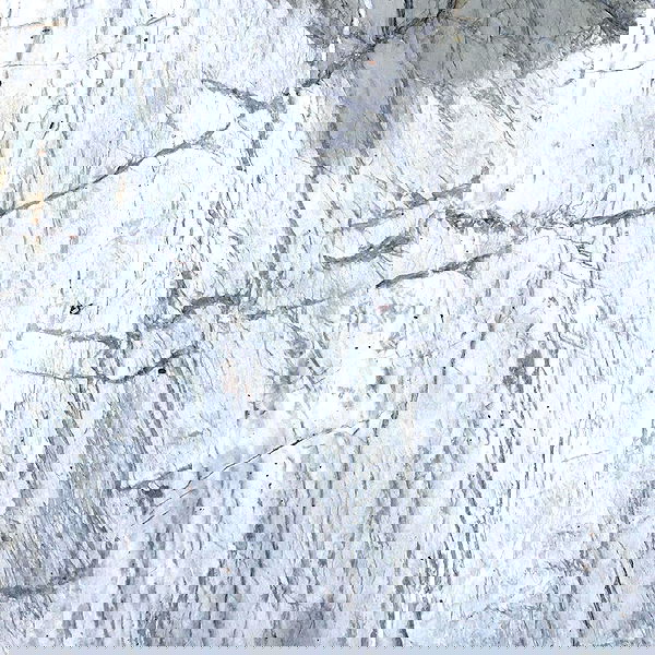 aekamee aekamee archive image