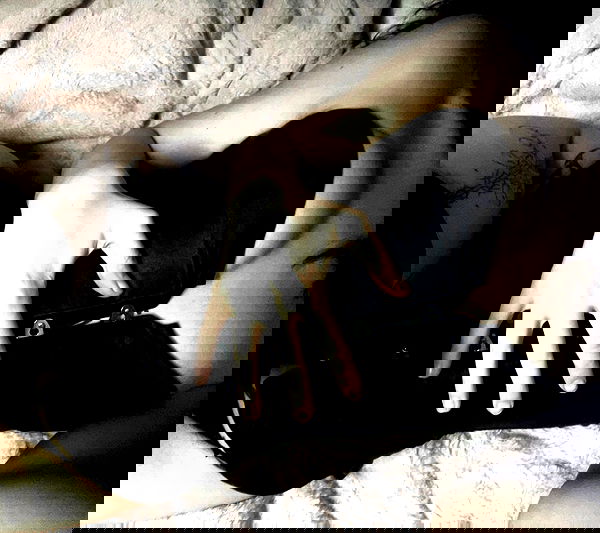 aekamee aekamee archive image