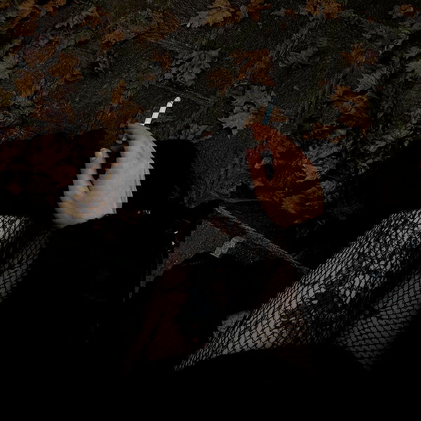 aekamee aekamee archive image