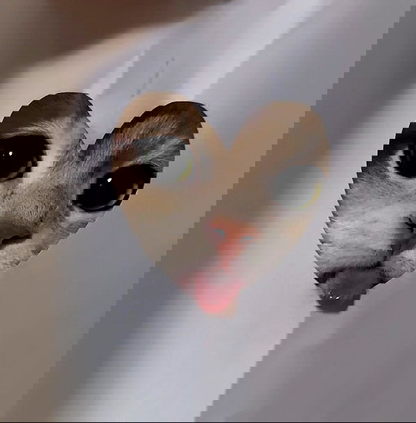 aekamee aekamee archive image