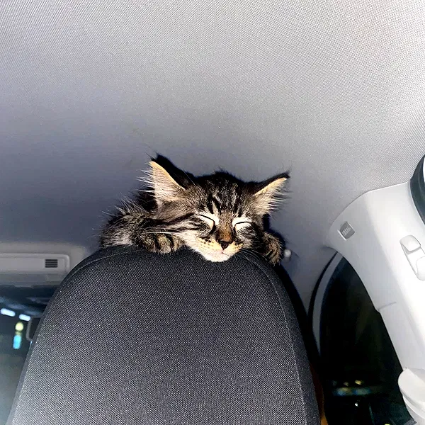 aekamee aekamee archive image