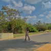 agam__mallka Altpins Profile Picture