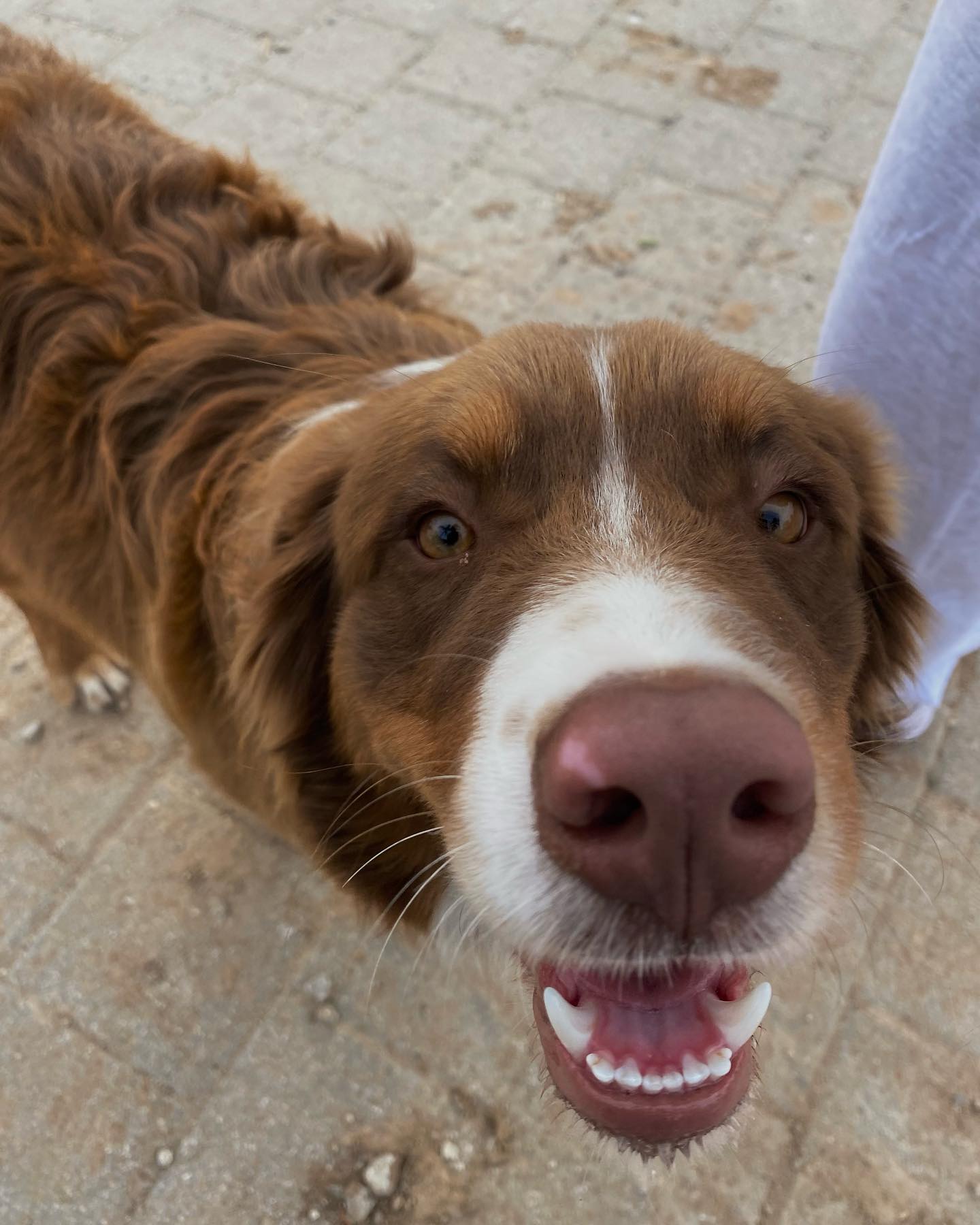 agambuzaglo122 instagram image archive image