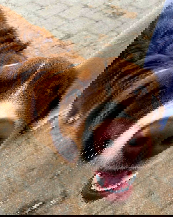 agambuzaglo122 image ~ Altpins