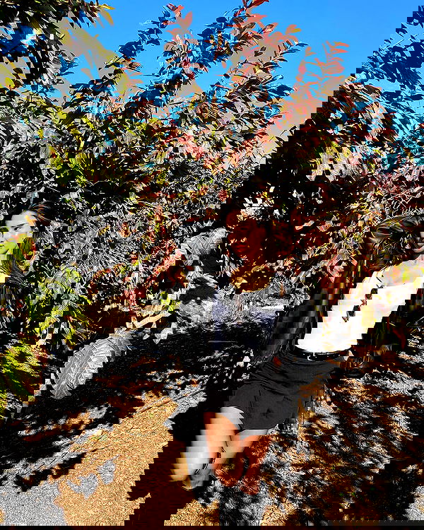 agambuzaglo122 image ~ Altpins