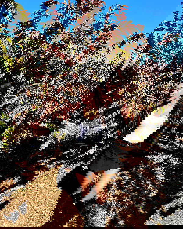 agambuzaglo122 image ~ Altpins