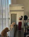 ak47kanii Altpins Profile Picture