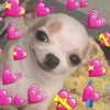 akariiiiiiiu Altpins Profile Picture