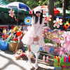 akeri.homura Altpins Profile Picture
