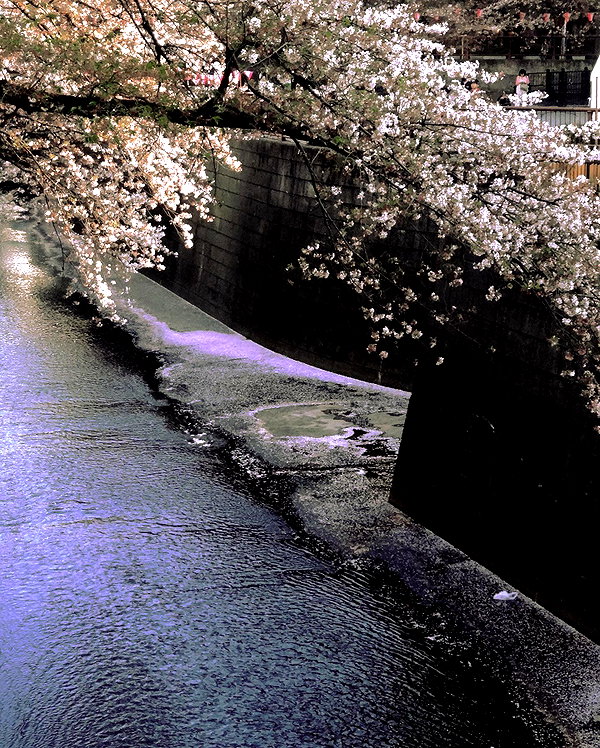 akeri.homura instagram image archive image