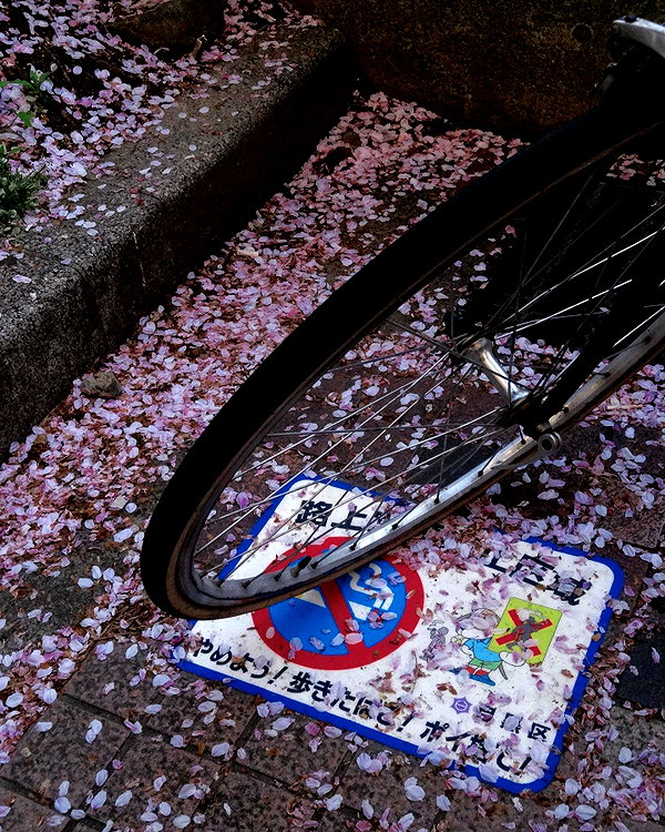 akeri.homura instagram image archive image