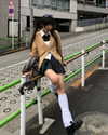 akeri.homura Altpins Profile Picture