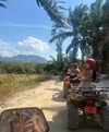 alanaliiao Altpins Profile Picture
