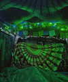 aleiisha.piixiie Altpins Profile Picture