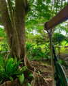 aleiisha.piixiie Altpins Profile Picture
