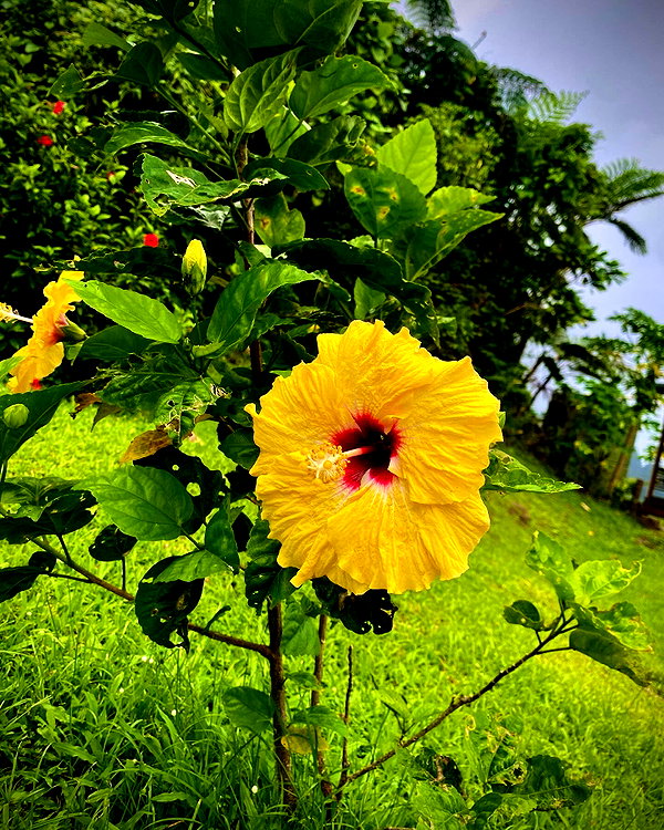 aleiisha.piixiie instagram image archive image