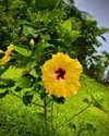 aleiisha.piixiie Altpins Profile Picture